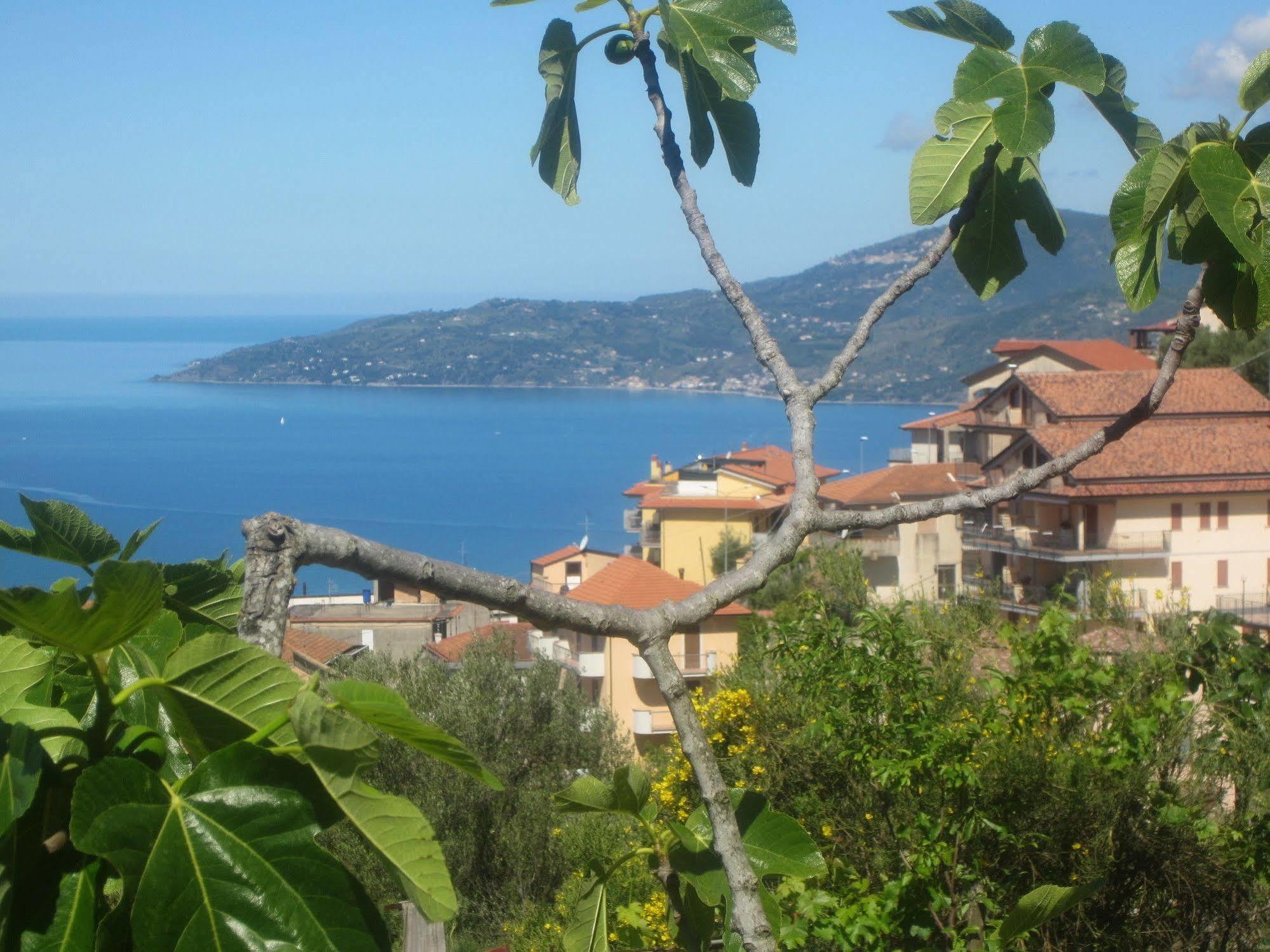 Villa Santa Sofia Ascea Exteriör bild